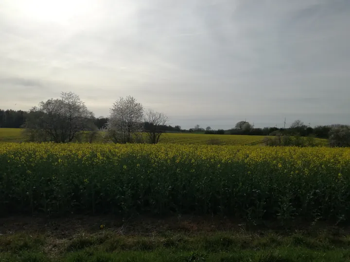 Les Lacs de l'eau d'Heure, Froidchapelle (België)